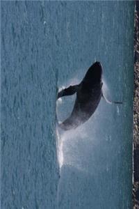 A Breeching Humpback Whale in Alaska Journal