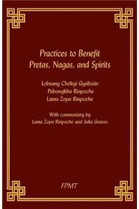 Practices to Benefit Pretas, Nagas and Spirits