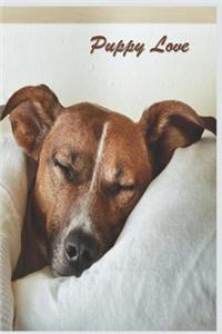 Puppy Love