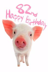 Happy 82nd Birthday