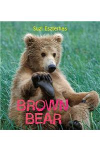 Brown Bear