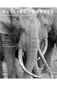 Walking Thunder: In the Footsteps of the African Elephant