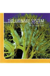 The Urinary System CD-ROM