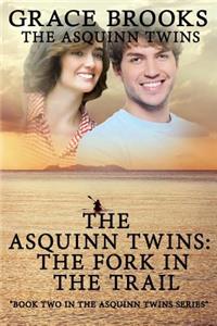 Asquinn Twins Book 2