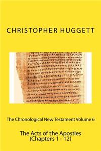 Chronological New Testament Volume 6