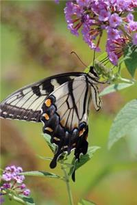 Thirsty Butterfly - Blank Notebook
