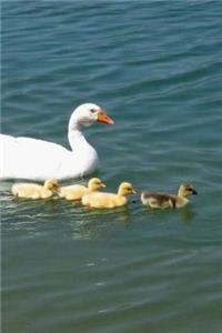 Geese Notebook