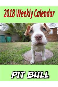 2018 Weekly Calendar Pit Bull