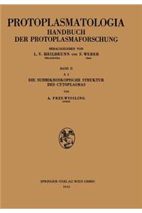 Die Submikroskopische Struktur Des Cytoplasmas