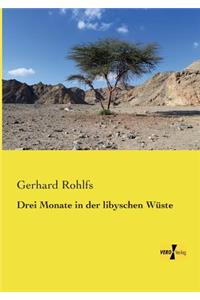 Drei Monate in der libyschen Wüste