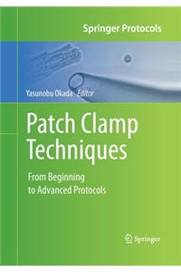 Patch Clamp Techniques