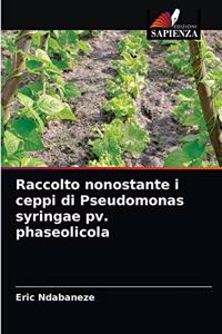 Raccolto nonostante i ceppi di Pseudomonas syringae pv. phaseolicola