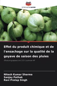 Effet du produit chimique et de l'ensachage sur la qualité de la goyave de saison des pluies