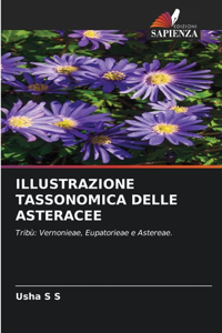 Illustrazione Tassonomica Delle Asteracee