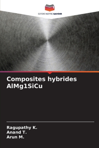 Composites hybrides AlMg1SiCu