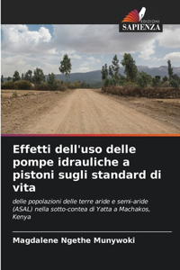 Effetti dell'uso delle pompe idrauliche a pistoni sugli standard di vita