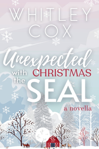 Unexpected Christmas with the SEAL
