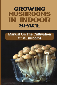 Growing Mushrooms In Indoor Space