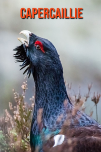 Capercaillie