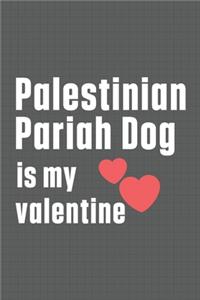 Palestinian Pariah Dog is my valentine