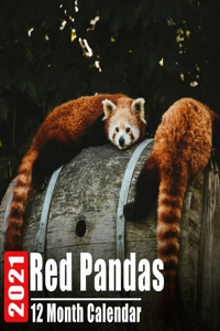 Calendrier 2021 Red Pandas
