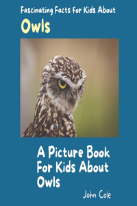 A Picture Book for Kids About Owls