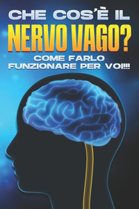 Che cos'è il nervo vago?