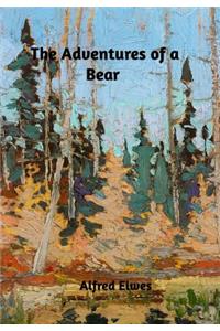 The Adventures of a Bear