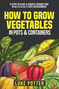 How To Grow Vegetables In Pots and Containers