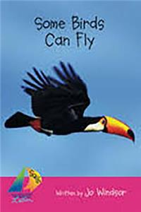 Some Birds Can Fly, Satellite
