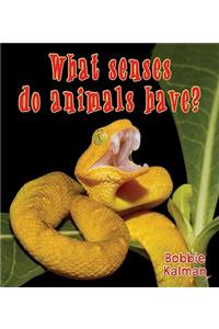 What Senses Do Animals Have