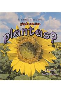 ¿Qué Son Las Plantas? (What Is a Plant?)