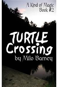 Turtle Crossing