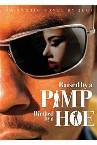 Raised by a Pimp, Birthed by a Hoe