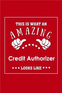 This is What an Amazing Credit Authorizer Look Like