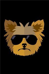Yorkie
