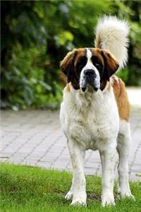 St. Bernard Dog in the Park Journal