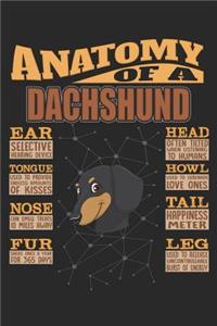 Anatomy Of A Dachshund