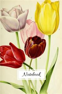 Notebook: Vintage Nature Journal Featuring Tulips (6 x 9 Lined Notebook, 110 pages)