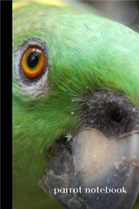 parrot notebook