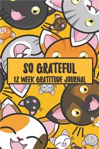 So Grateful 12 Week Gratitude Journal