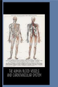 The Human Blood Vessels and Cardiovascular System (1898)