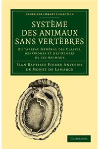 Système des animaux sans vertèbres