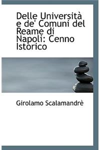Delle Universita E de' Comuni del Reame Di Napoli