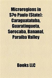Microregions in Sao Paulo (State)