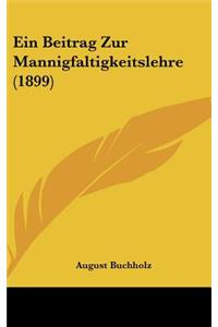 Ein Beitrag Zur Mannigfaltigkeitslehre (1899)