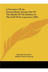Narrative Of An Extraordinary Escape Out Of The Hands Of The Indians, In The Gulf Of St. Lawrence (1905)