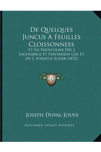 De Quelques Juncus A Feuilles Cloissonnees