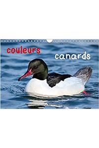 Couleurs Canards 2017