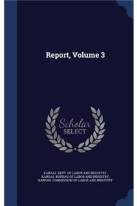 Report; Volume 3